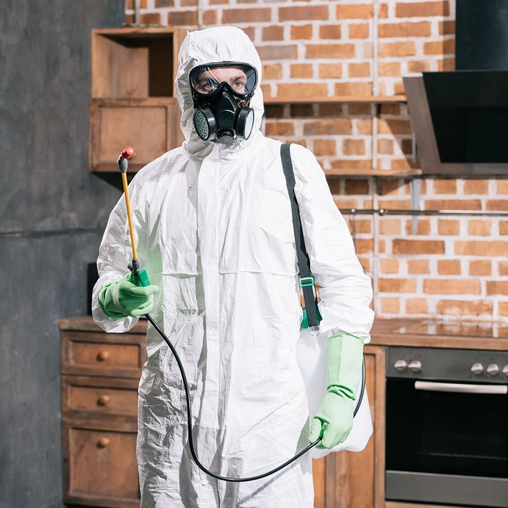 Pest Control FAQ